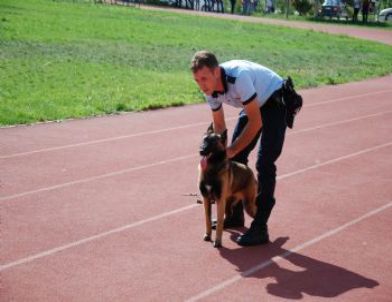 Kırıkkale Üniversitesi'nde, ‘köpek Temel İleri ve İtaat Eğitimi’ Sona Erdi