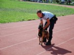 ZIYA KARACAEV - Kırıkkale Üniversitesi'nde, ‘köpek Temel İleri ve İtaat Eğitimi’ Sona Erdi