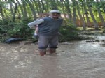 KOZLUCA - Sağanak Yağış Sele Neden Oldu