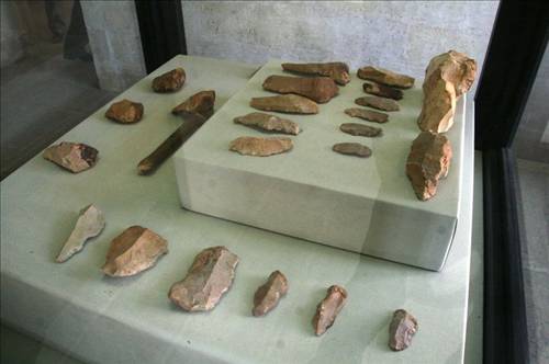 Mardin'de 80 Bin Yıllık Taş Fosili