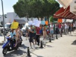 Bodrum'da Esnaflardan Eylem