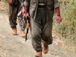 PKK Mağaralarında İhale Evrakları Çıktı