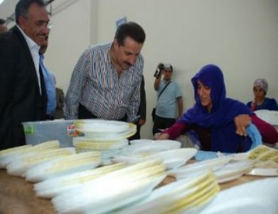 Şanlıurfa'ya Bin 500 Kişilik Çağrı Merkezi