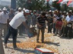 VAHAP SEÇER - CHP, Kayısı Çiftçileri İçin Miting Düzenledi