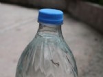 DAMACANA - Su Şişesinden Plastik Çıktı