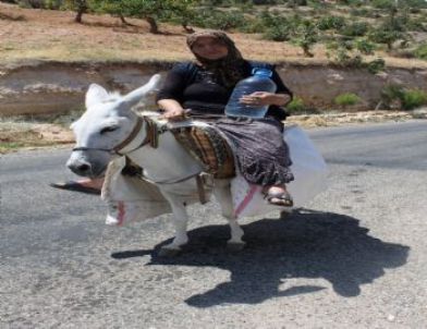 Tatlıcak’ta İçme Suyundaki Kirliliğe Tepki