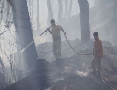 Suriye’de Başlayan Yangın Türkiye’ye Sıçradı