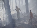 YAYLADAĞI SINIR KAPISI - Suriye’de Başlayan Yangın Türkiye’ye Sıçradı