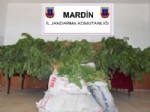 Mardin’de 7,5 Kg Uyuşturucu Madde Ele Geçirildi