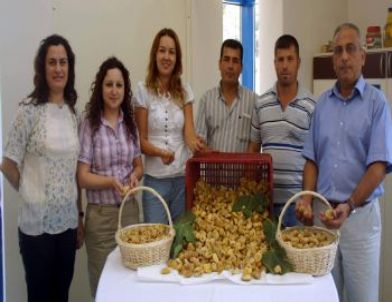 Aydın Ticaret Borsası Sezonun İlk İncirini Aldı