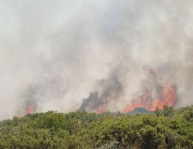 Didim’de 150 Dönüm Makilik ve Fundalık Alan Yandı