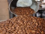 SEKTE - Türk Kahvesi Geleneğini ‘Hazır Tehlike’ Bekliyor