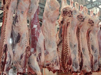 Et ve Balık Kurumu'ndan 'skandal' savunması
