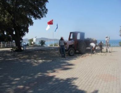 Adramytteion Kazıları Başladı