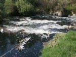 HALUK TUNÇSU - Küçük Menderes'in Kirliliği Tarafları Gerdi
