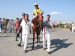 ŞAHABETTIN HARPUT - Valilik At Yarışları Kupasında Zafer ‘darfur’un