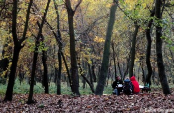 Mesire Yerleri Stresten Uzak Bayram Geçirmek İsteyenleri Bekliyor