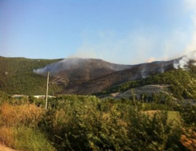 İki Patlıcan Közlerken 200 Hektar Ormanı Yaktılar