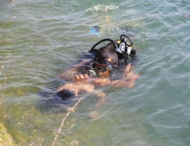 Suda Kalbi Durdu, Hastanede Hayata Döndü