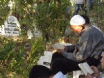 TESBIH - Yayladağı'nda Her Bayram Kabirlere Fidan Dikiliyor