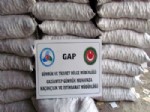 Gaziantep'te Kaçak Ceviz Operasyonu