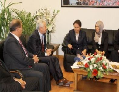 BDP ve PKK Kucaklaşması Ele Alındı