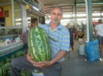 RESUL AKAY - 25 Kiloluk Karpuzlar Kapışılıyor