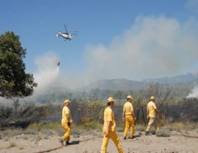 Fethiye’de Bir Hektar Sazlık Alan Kül Oldu