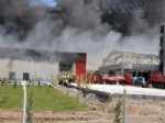 KAŞıNHANı - Konya Şeker'in Et ve Süt Üretim Tesisinde Yangın!