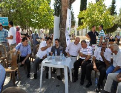 Muğla İmam Hatip Lisesi Mezunları Pilav Gününde Buluştu