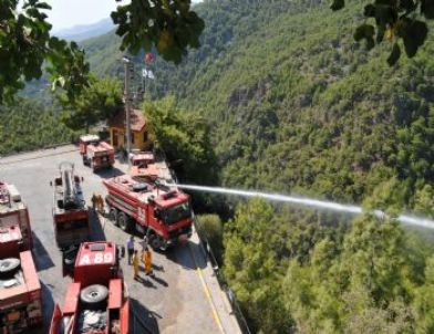 Alanya'da Orman Yangını