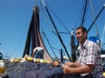 GıRGıR - Balıkçılardan Palamutta '38 Santim' Tepkisi