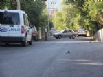 PASSAT - Karabük’te Kaçırılma İddiası Polisi Alarma Geçirdi