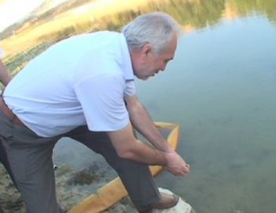 Kayaboğazı Barajı'na 45 Bin Pullu Sazan Bırakıldı