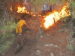YANGIN HELİKOPTERİ - Soma'da Orman Yangını