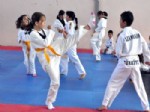 RECEP BAŞKAN - Foça Belediyespor Yıldızlar Türkiye Taekwondo Şampiyonası’na Gidiyor