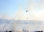 YANGIN HELİKOPTERİ - Kocaeli'de Çam Ormanı Altı Noktadan Yandı