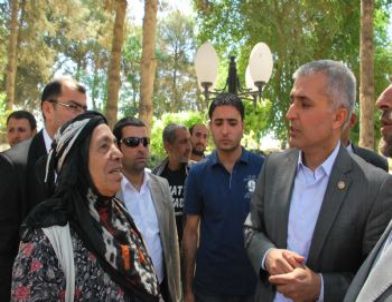 Milletvekili Gök’ten Meslek Yüksek Okulu Müjdesi