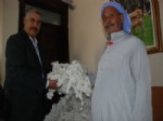 Yılın İlk Pamuğu Satıldı