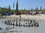 KOZALAK - Turistlerin Çamur Keyfi
