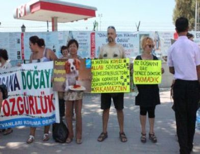 Hayvanseverler Dikili Belediyesi Önünde Eylem Yaptı