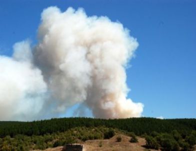 Taşköprü’deki Orman Yangını