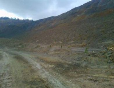 Küre’de 16 Bin Ağaç Toprakla Buluştu