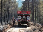 MUSTAFA GÜNEŞ - Taşköprü’deki Orman Yangını Kontrol Altına Alındı