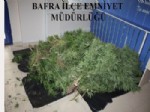 Bafra’da Uyuşturucu Operasyonu