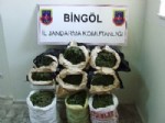 Bingöl'de Kilolarca Uyuşturucu Ele Geçirildi