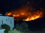 MAKİLİK ALAN - Datça’da Çıkan Yangın Söndürüldü