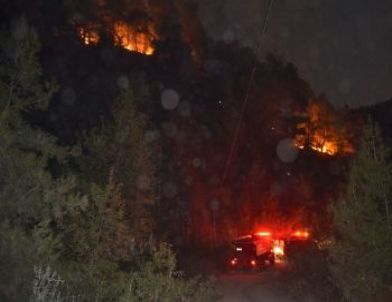 Kozan'da Orman Yangını