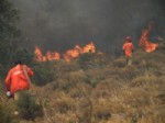 EMIRALEM - Makilik Alanda Çıkan Yangında 100 Hektar Alan Kül Oldu
