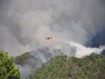 GÜZELBAĞ - Alanya'da 100 Hektarın Kül Olduğu Yangın Devam Ediyor